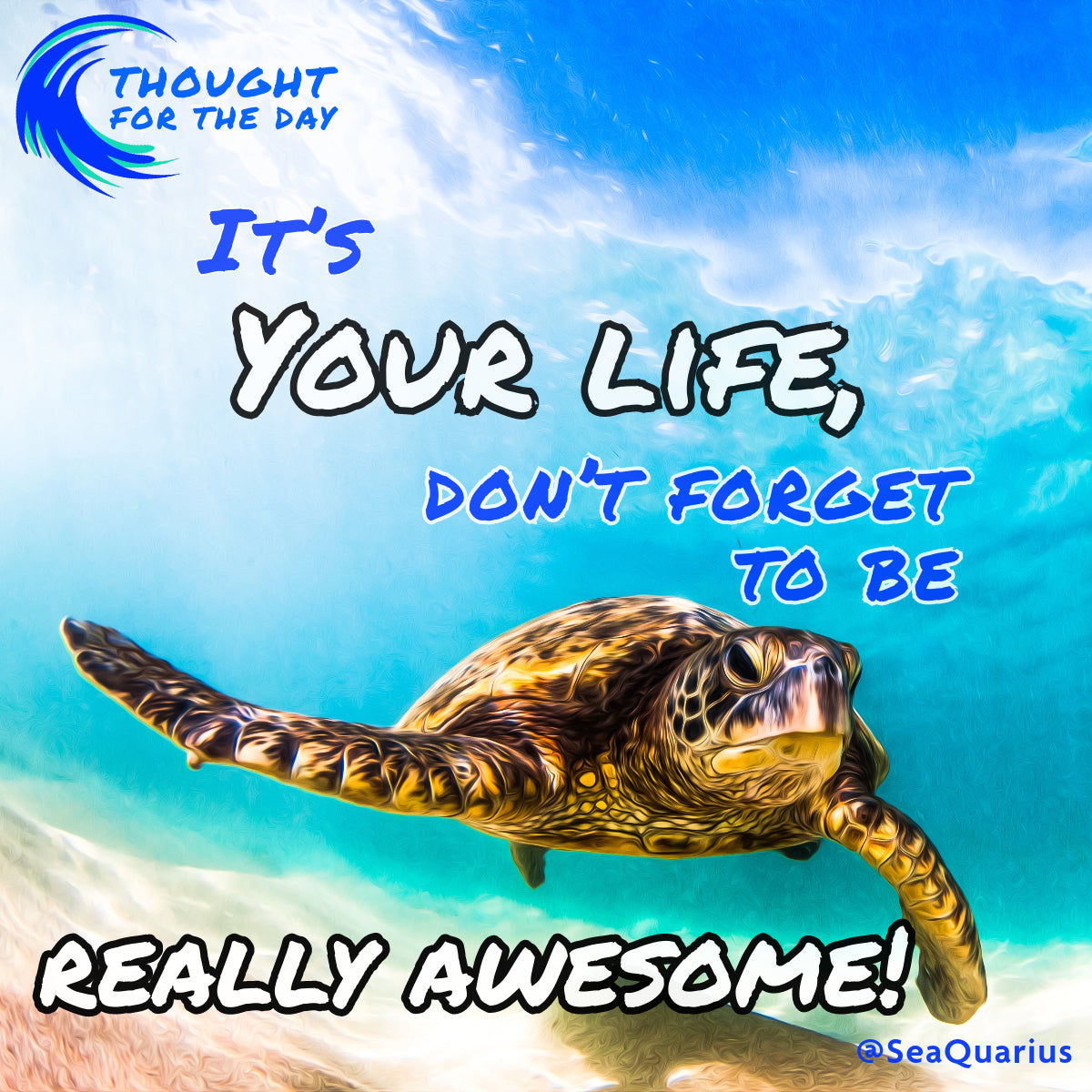 SeaQuarius awesome turtle 