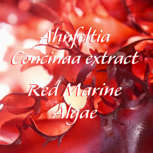 Anti Aging Facial Serum - The Sea Serum - Collagen Support Formula