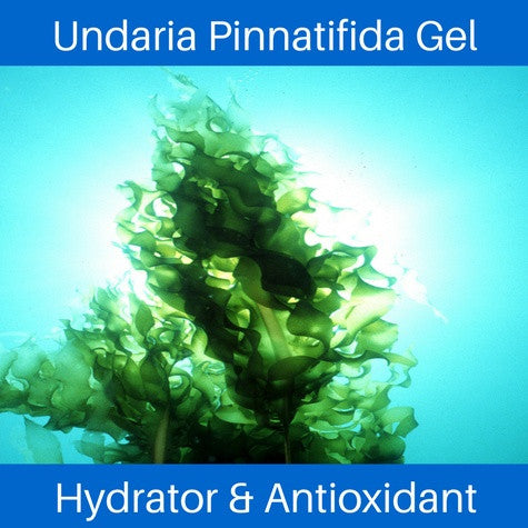Anti Aging Facial Cream - The Sea Cream - Youthful Aging And Firming Formula