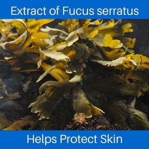 Anti Aging Facial Cream - The Sea Cream - Ocean Rich Skin Nutrition