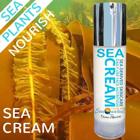 Anti Aging Facial Cream - The Sea Cream - Ocean Rich Skin Nutrition