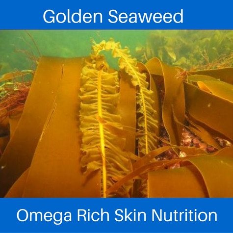 Anti Aging Facial Cream - The Sea Cream - Ocean Rich Skin Nutrition