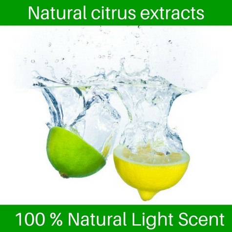 Facial Cleanser - The Sea Clean - Foaming And Purifying Facial Cleanser