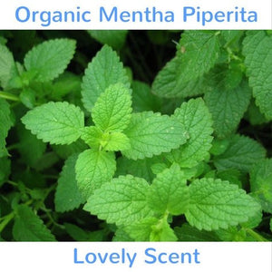 Pearl & Pumice Exfoliator Organic Mentha Piperita